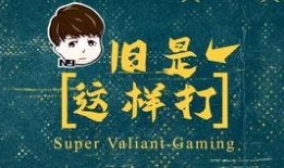 其哥的爆料视频大全下载,哥爆料视频大全背后的惊人真相