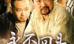 永不回头在线观看,一场关于命运与抉择的青春逆袭之旅